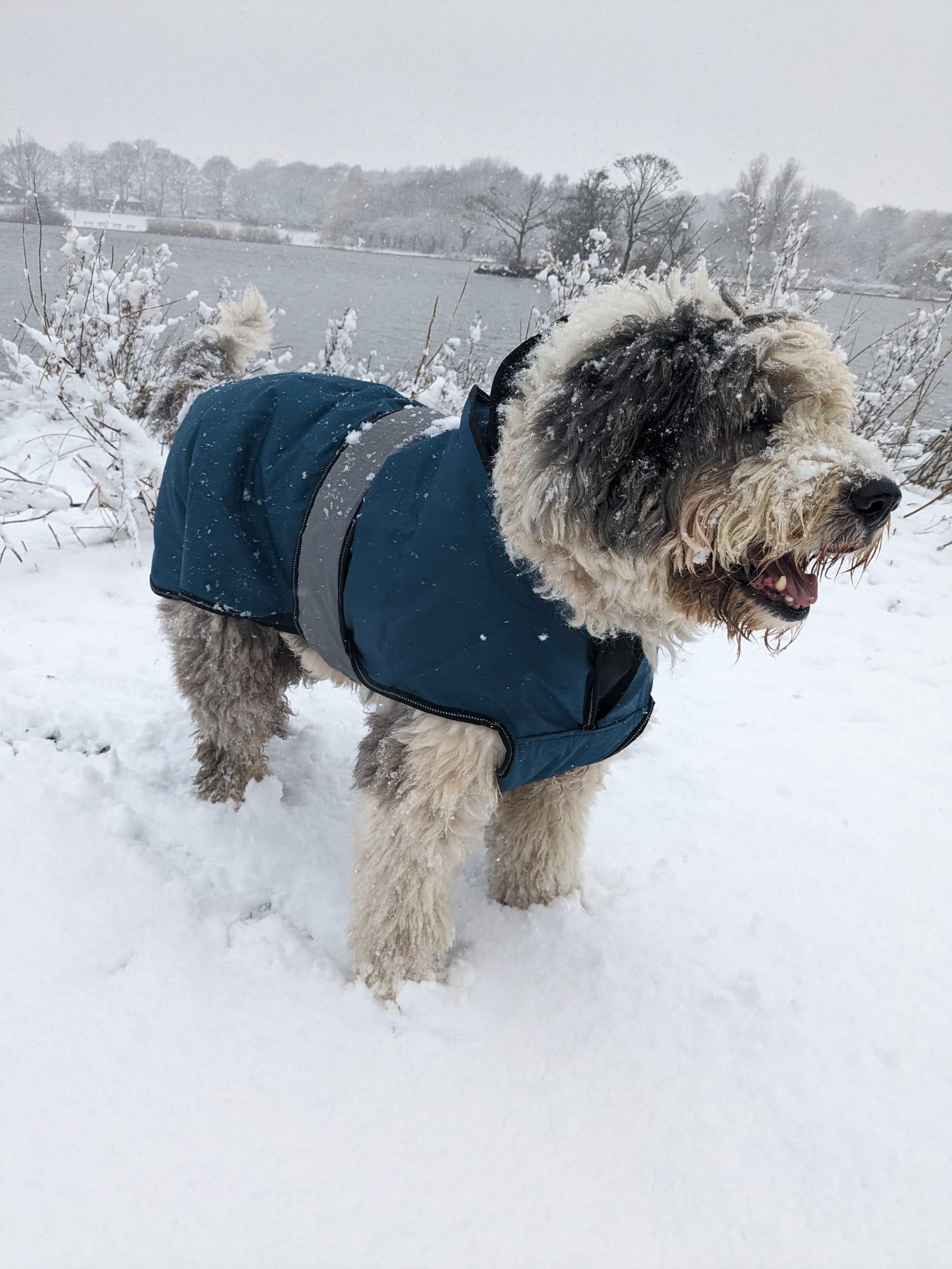 Danish Design Ultimate 2 in 1 Dog Coat, Blue