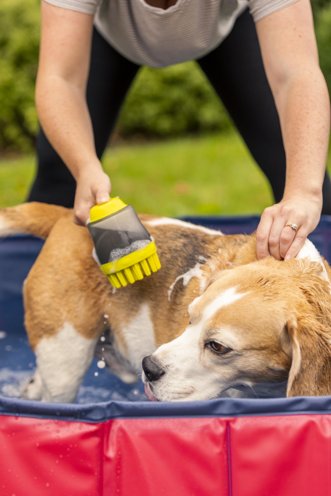 Trespaws grooming brush