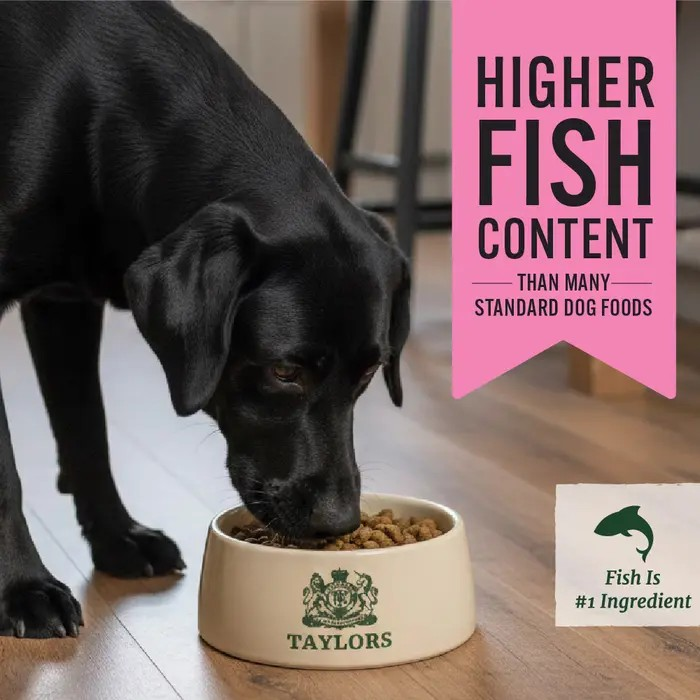 Taylors Grain Free Salmon Adult & Senior Dry Dog Food - 12kg