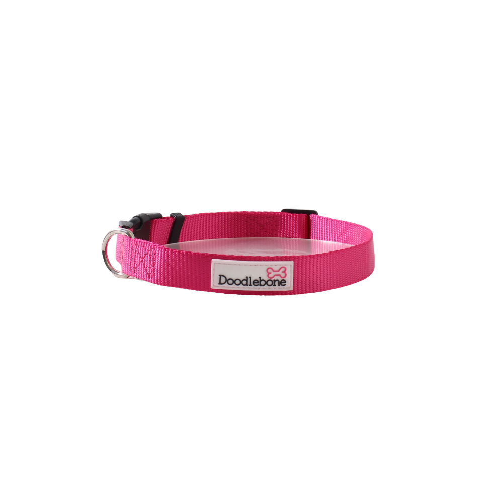 Doodlebone Neon Pink Collar
