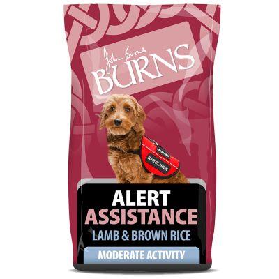 Burns Alert Assistance Lamb