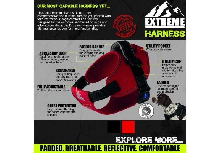 Ancol Extreme Harness - Info