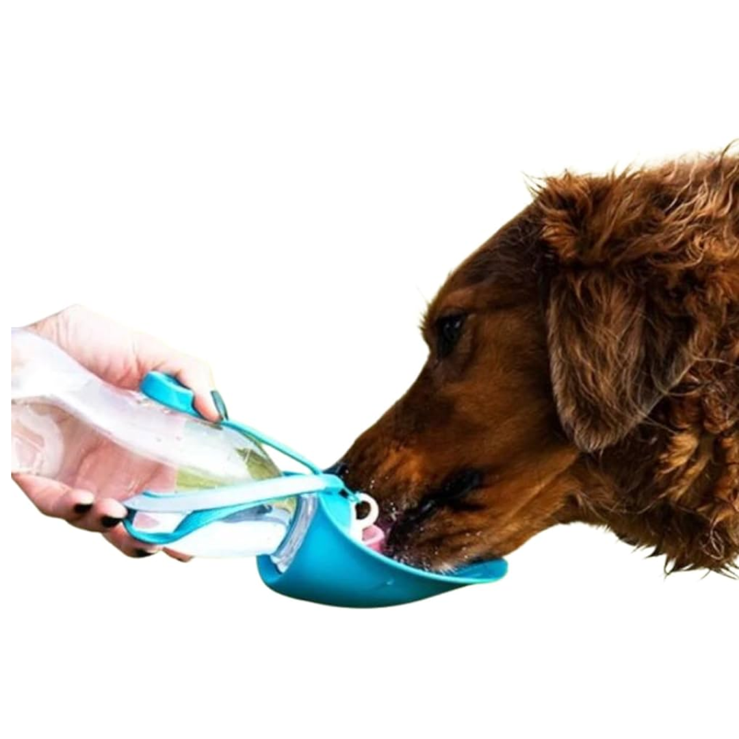 Henry Wag Water Bottle with Leaf Bowl