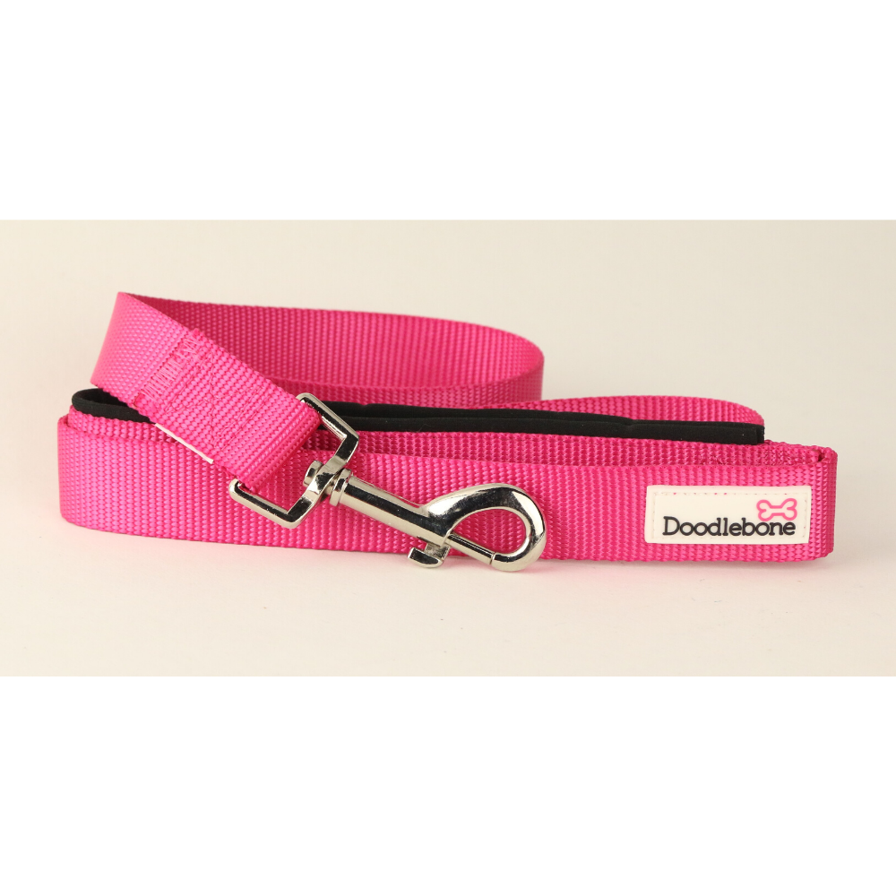 Neon Pink Doodlebone Collars and padded Leads 