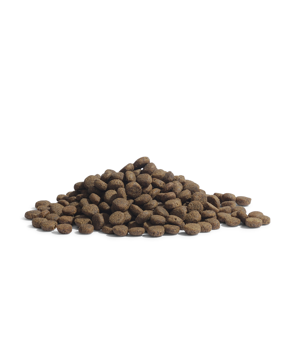 Essential Panthar kibble
