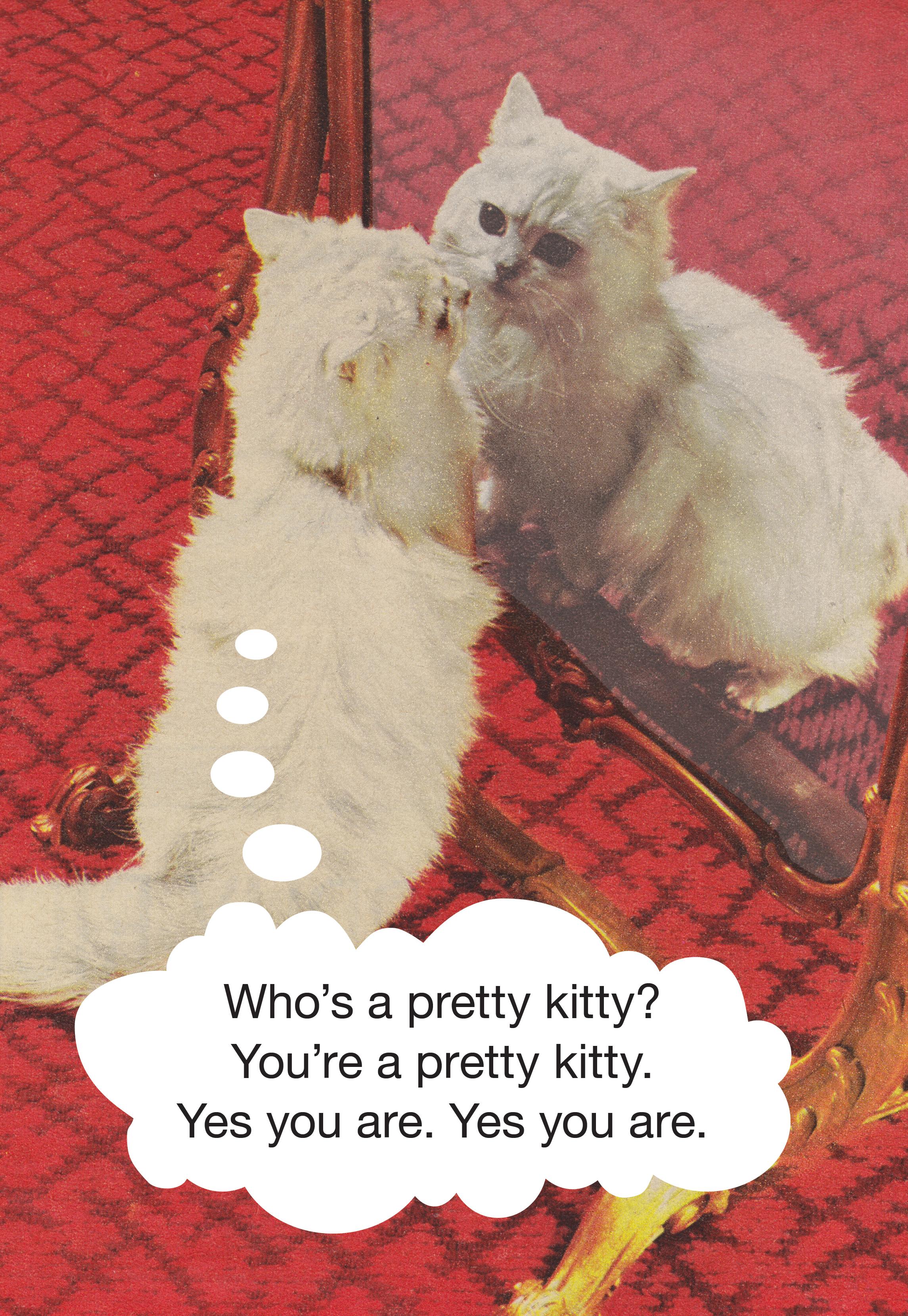 Who's a pretty kitty? You're a pretty kitty. Yes you are.