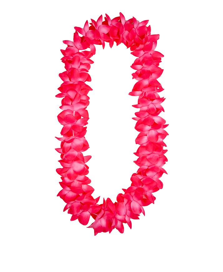 Hawaiian Lei Orchid 2 Tone Pink