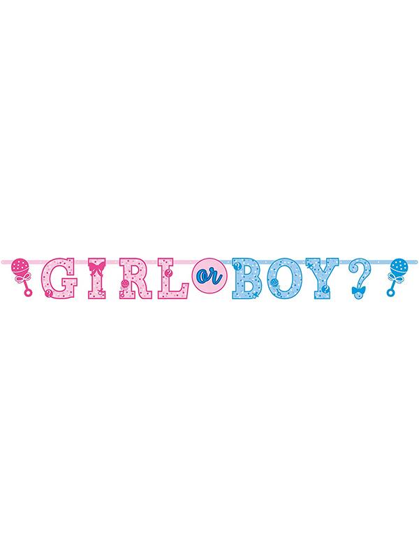 Gender Reveal Letter Banner Boy or Girl Kit