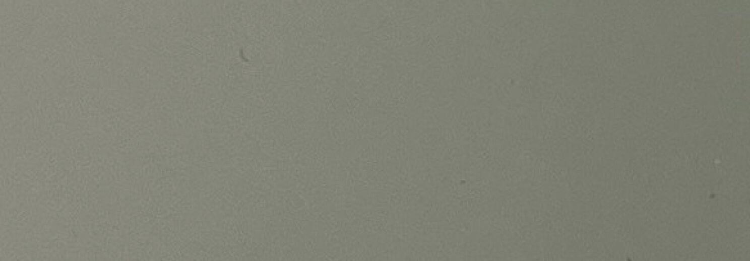 Gloss Light Grey