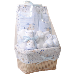 Newborn Gift Basket (blue)