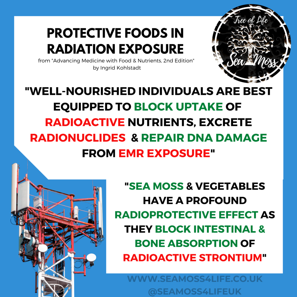 Protective Foods in Radiation Exposure