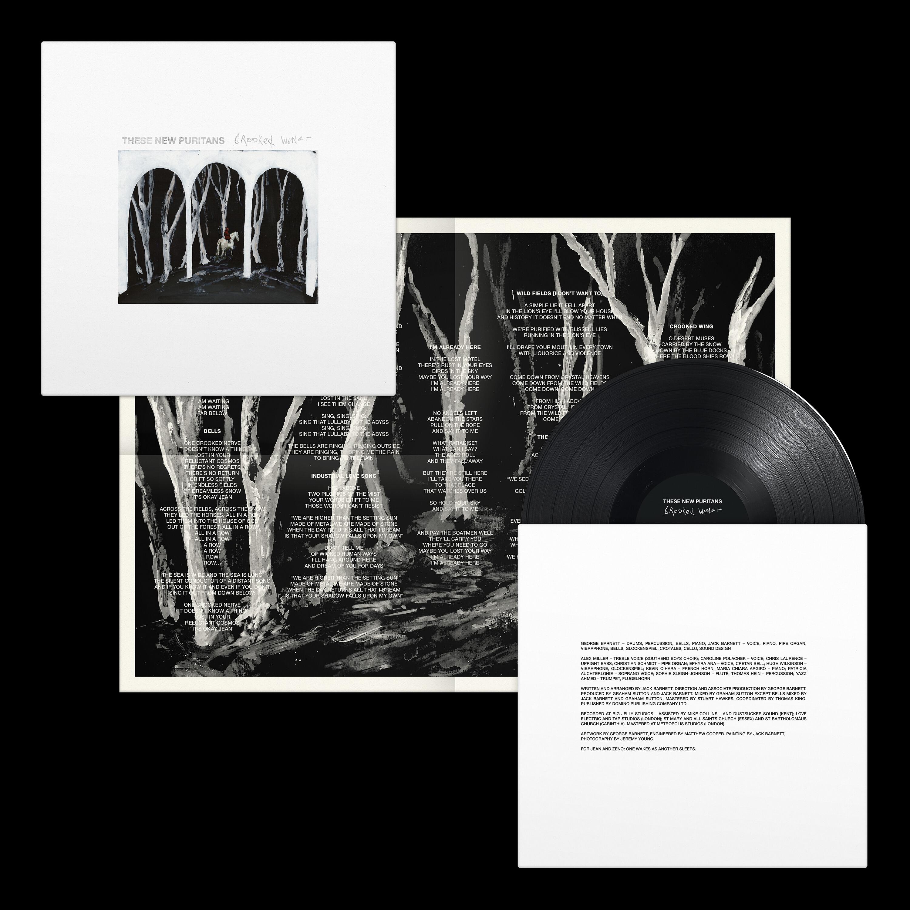 THESE NEW PURITANS - Crooked Wing - Vinyl LP