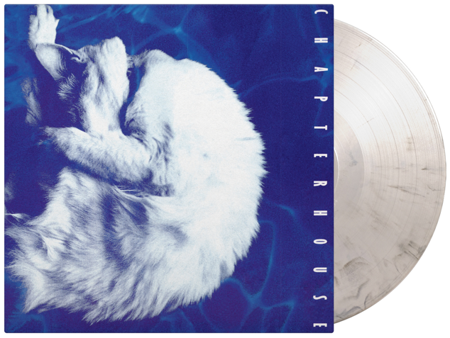 CHAPTERHOUSE - Whirlpool - Vinyl LP Limited Numbered Edition