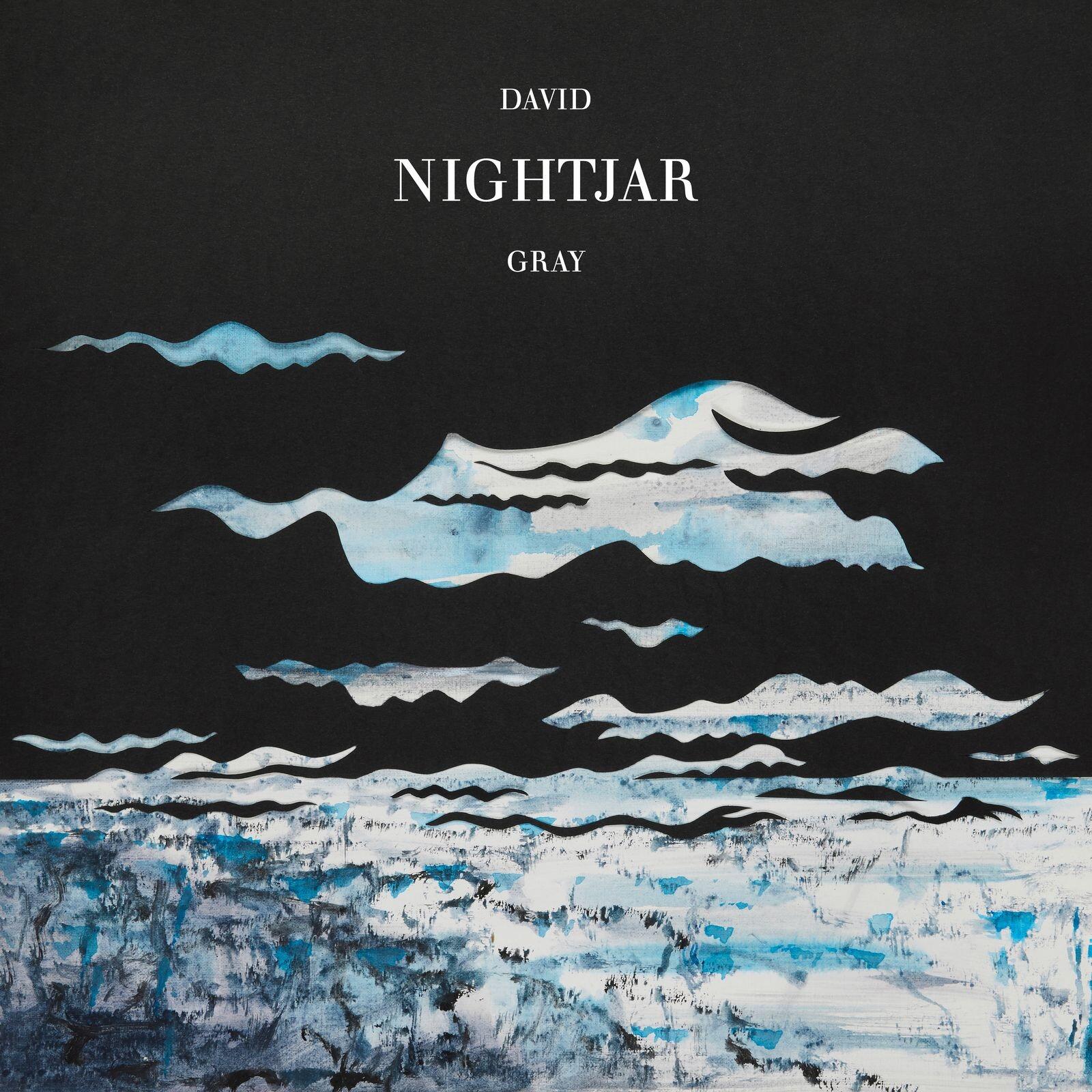 DAVID GRAY - Nightjar - Double Vinyl LP