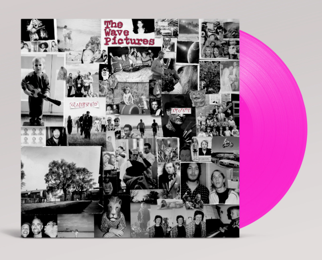 THE WAVE PICTURES - Gained / Lost - Vinyl LP