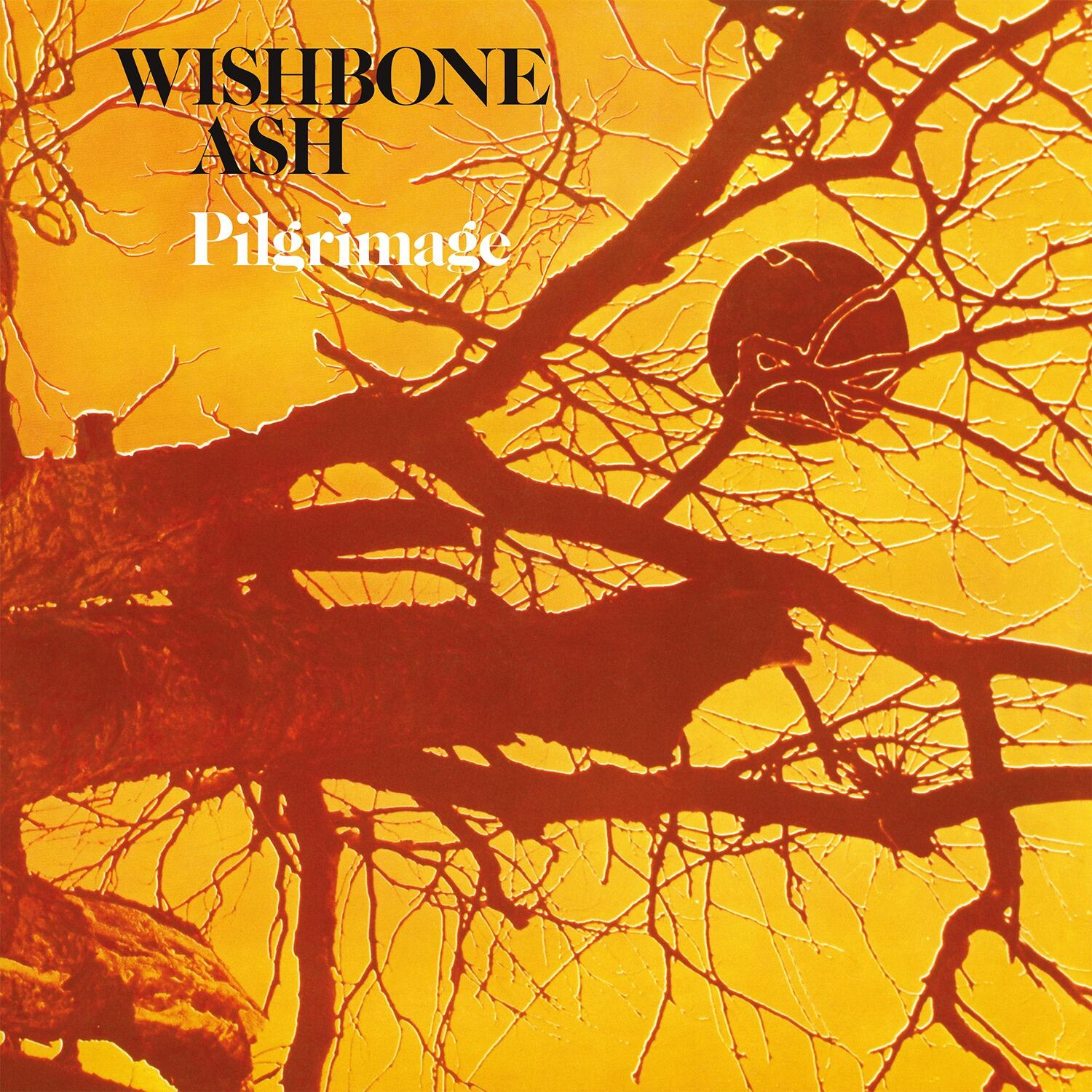 WISHBONE ASH - Pilgrimage 2026 Reissue - Vinyl LP