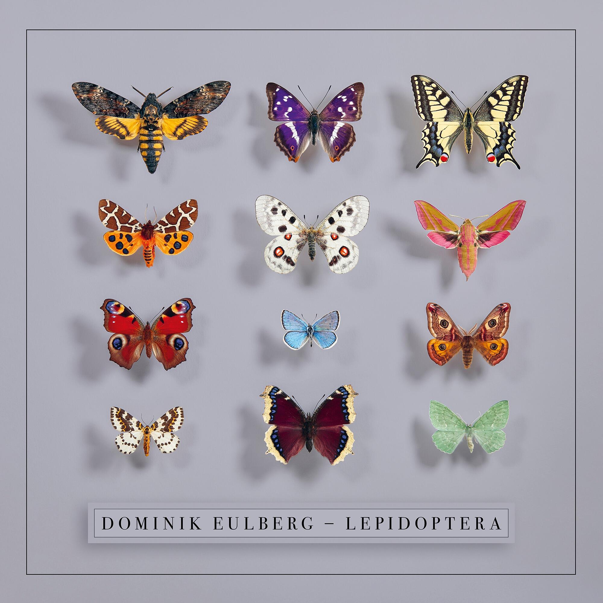 DOMINIK EULBERG - Lepidoptera - Double Vinyl LP