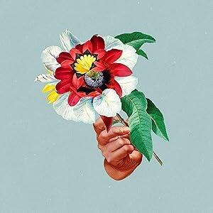 MARIBOU STATE - Kingdoms In Colour - Vinyl LP