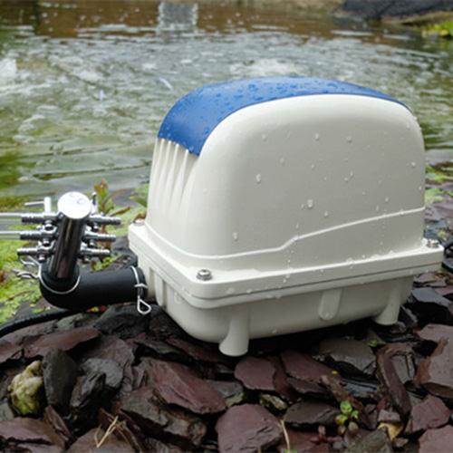 Pondxpert ElectroAir Pond Air Pump 6000