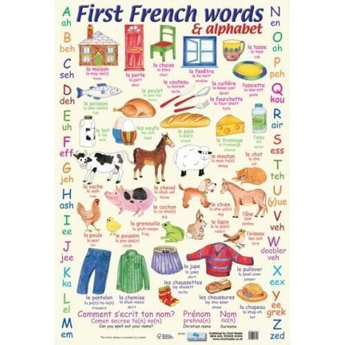 Educational Poster | Learn French First Words with this Colourful Chart Classroom Poster
