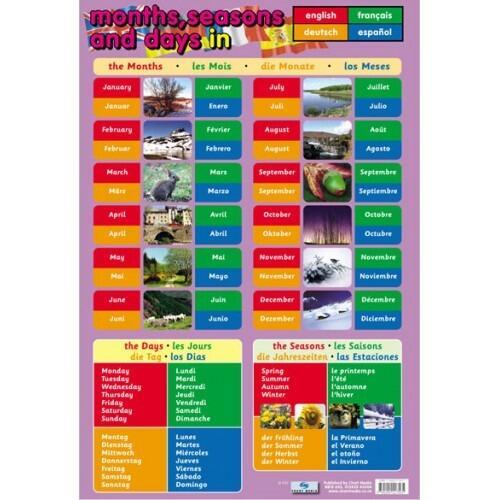 Educational Poster | Learn the Calendar/Seasons in 4 Languages - Classroom Poster