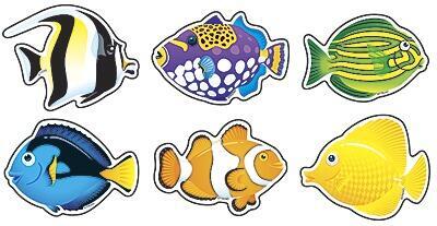 Classroom Display Card Cutouts | 36 x Tropical Fish Cut Out Cards For Under the Sea/Sealife Topics