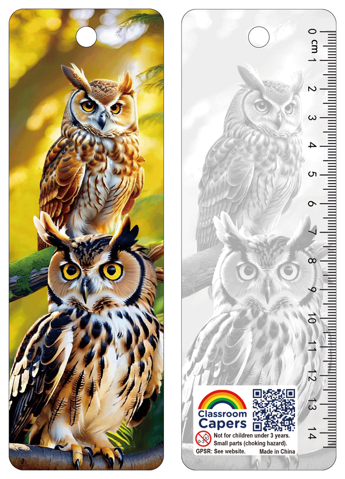 3D Bookmarks | Stunning Watchful Owl Bookmark/Ruler - Ideal Reading Incentive/Class Gift/Present