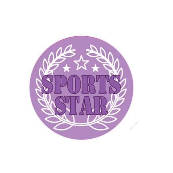 Sports Stickers | " Sports Star " Stunning Wreath Design, Award Stickers for All Achievers / Sports