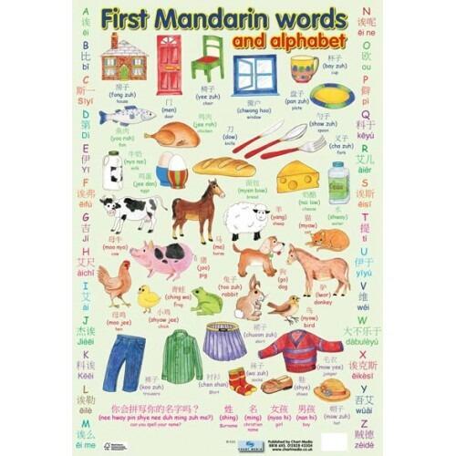 Educational Poster | Learn Mandarin Words and Alphabet Chart Classroom Poster