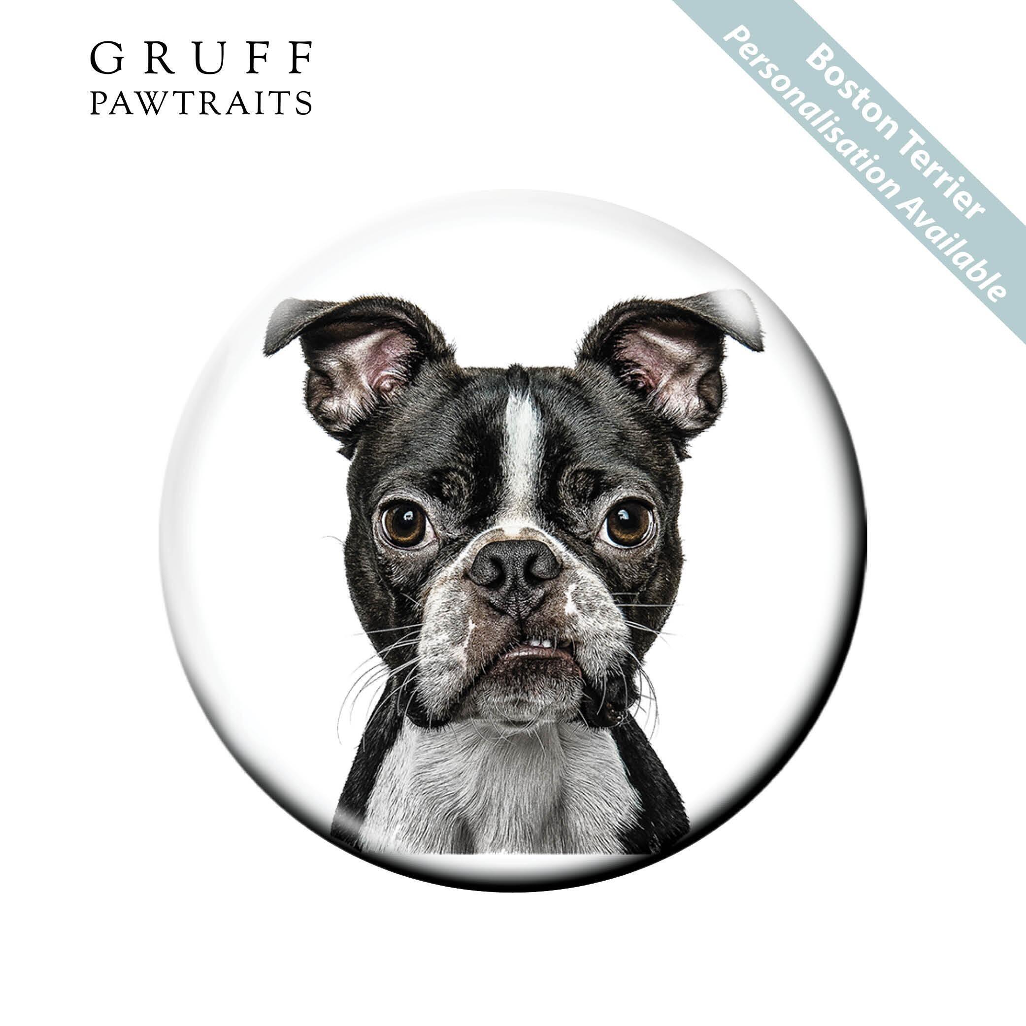 Bulk Fridge Magnets | Stunning Boston Terrier Fridge Magnets by Gruff Pawtraits. Retail/Trade Prices