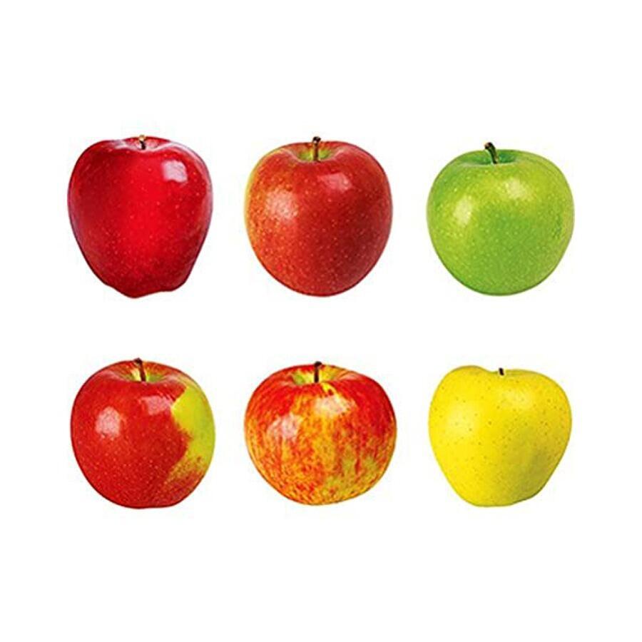 Classroom Display Card Cut-outs | Colourful Apple Photo/Picture Cutouts for Nutrition/Food Displays