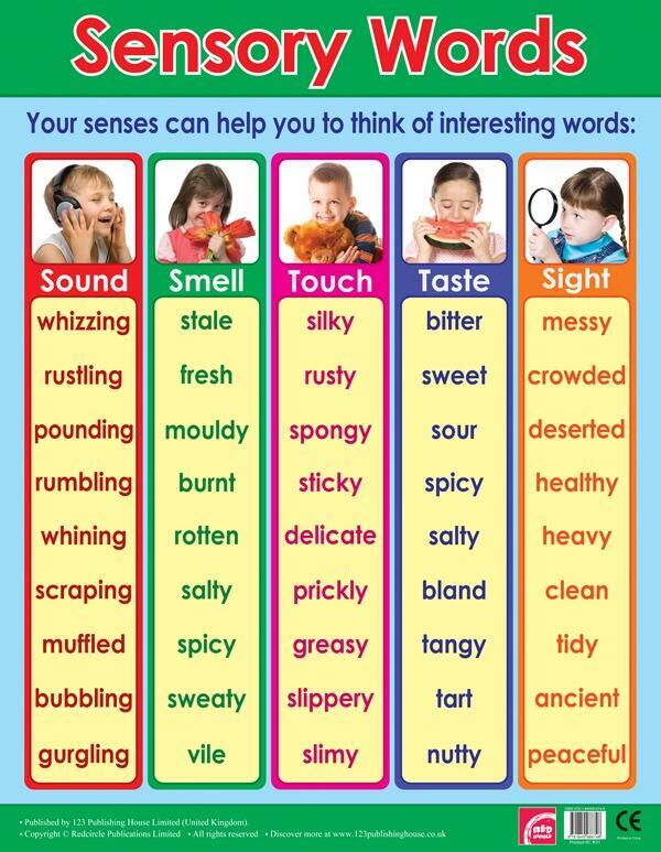 Educational Poster | Explore Sensory Words - Writing Skills Classroom Poster
