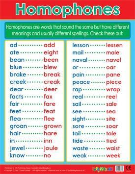 Educational Poster | Revise & Learn Homophones Classroom Poster