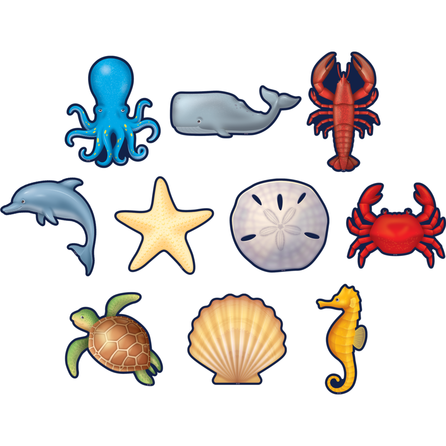 Classroom Display | 36 Nautical Sea Life Cut Out Cards to Create Colourful Sealife Displays