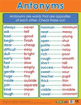 Educational Poster | Master Antonyms Literacy Classroom Poster