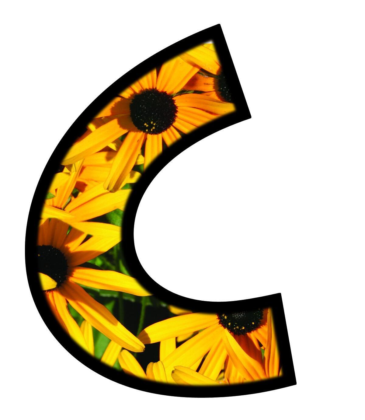 Classroom Display Lettering | T79252 - 10cm Natural Elements Design Letters and Numbers x 92