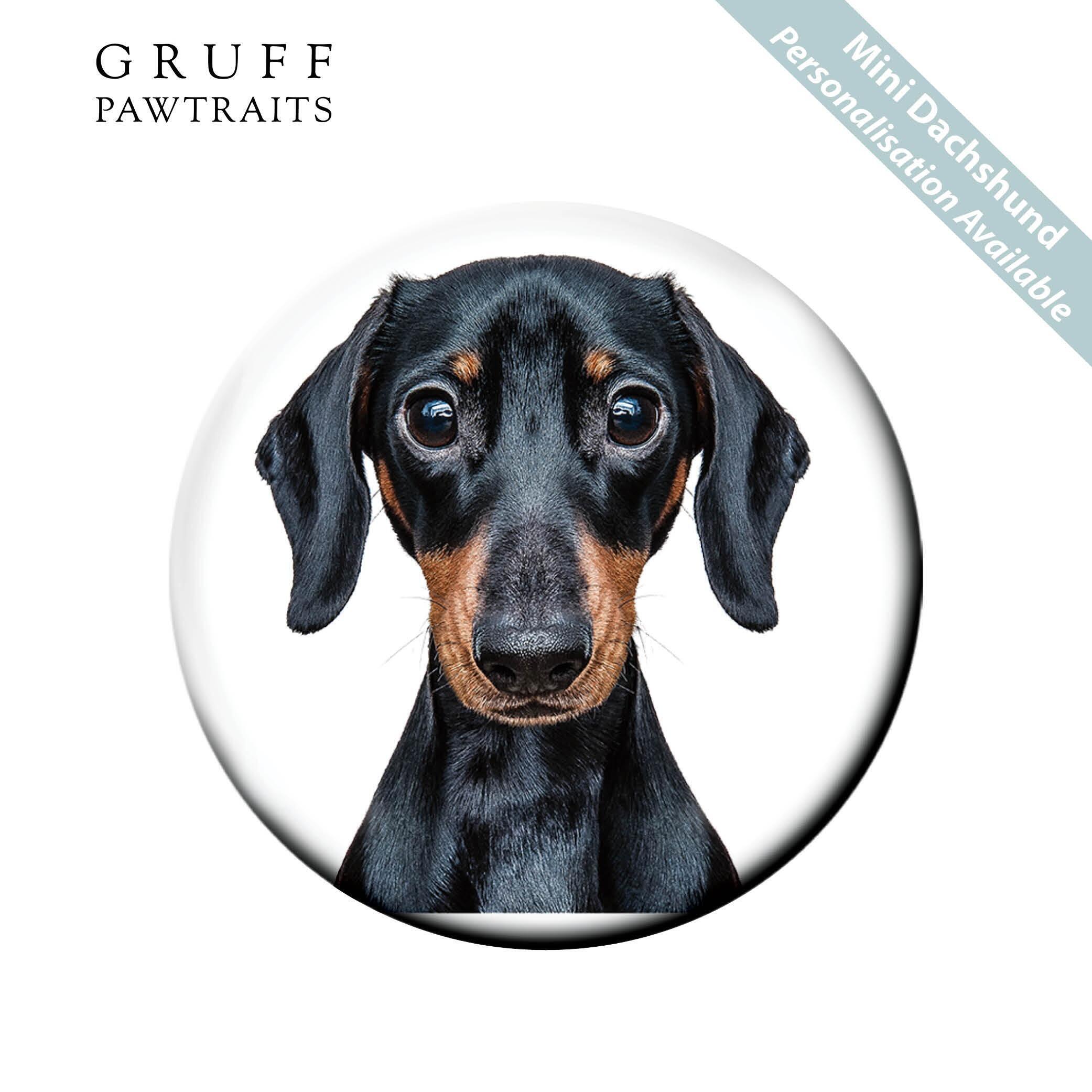 Bulk Fridge Magnets | Stunning Mini Dachshund Dog Fridge Magnets by Gruff Pawtraits. Trade Prices