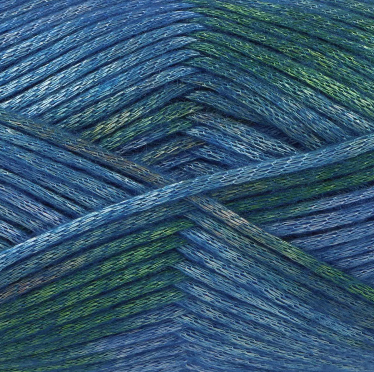 Firefly Aran Sapphire Damselfly close-up showing soft blue and moss green sheen