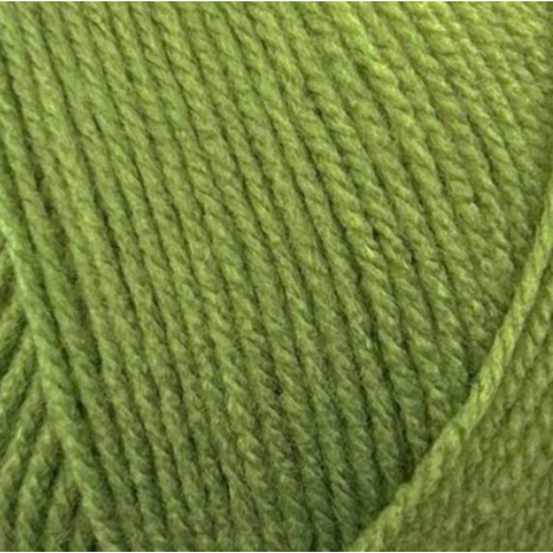 Stylecraft special dk in the colour Leaf 2176
