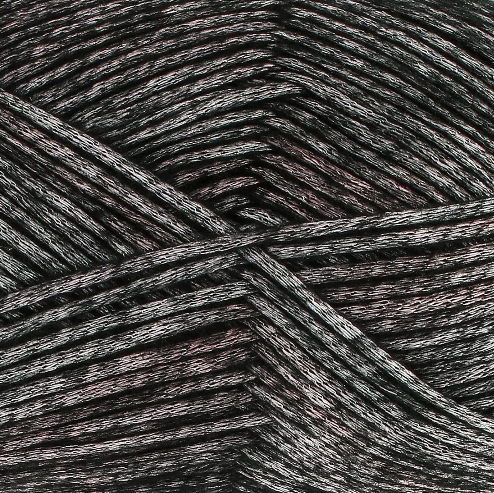 Firefly Aran Harlequin Beetle close-up showing monochrome pewter shimmer