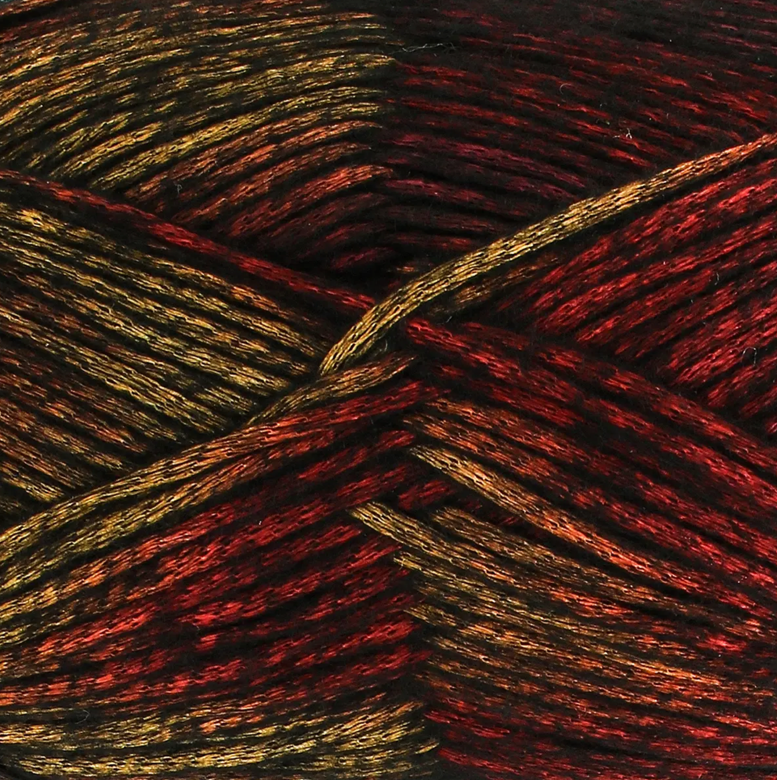 Firefly Aran Tiger Beetle close-up showing golden shimmer against black