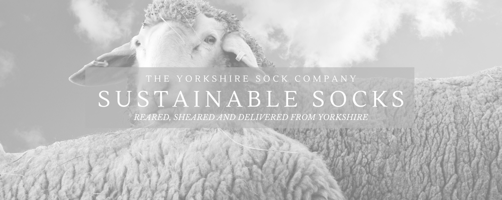Sustainable Socks Manufactured in the UK