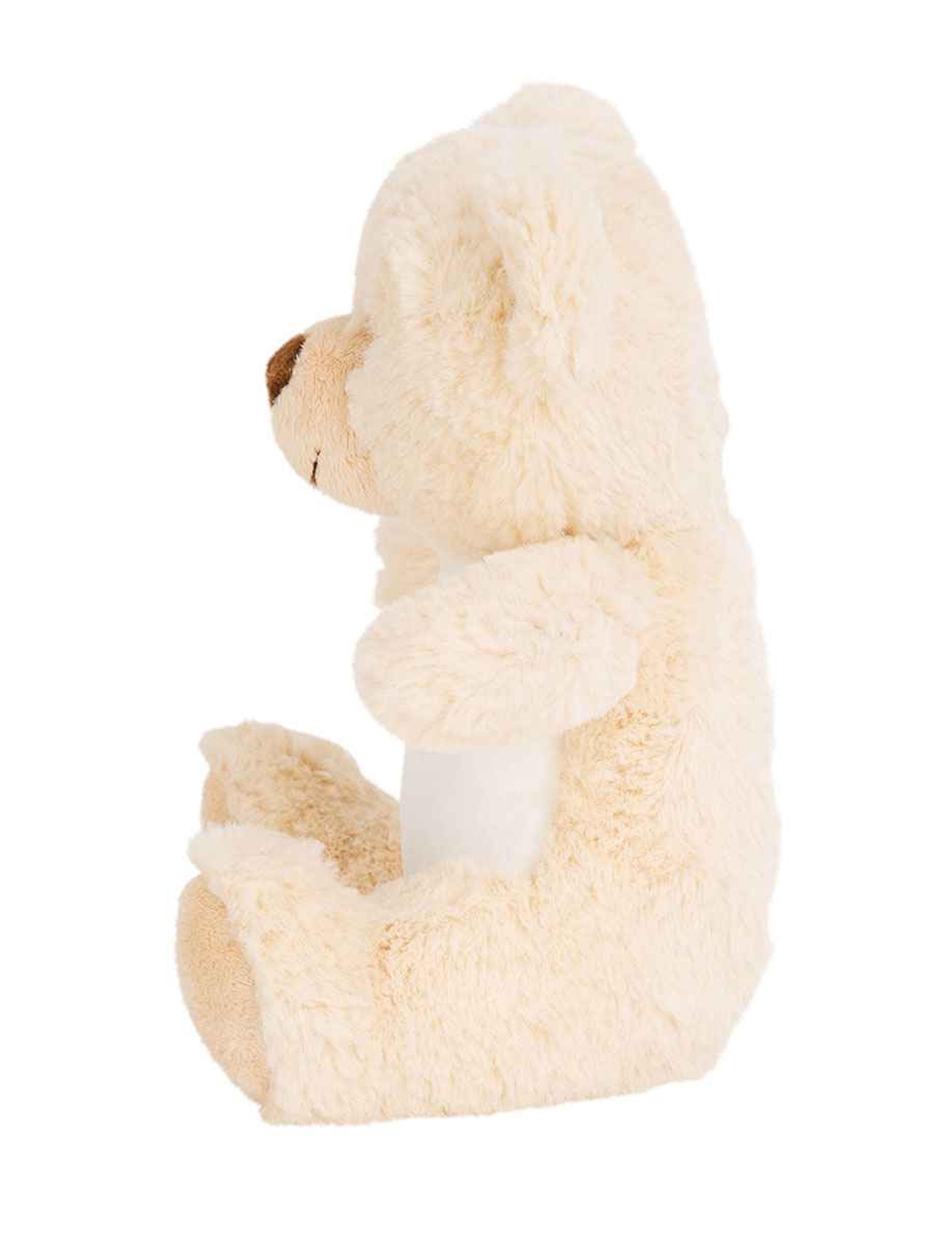 Printed Small Teddy Bear Cream with name