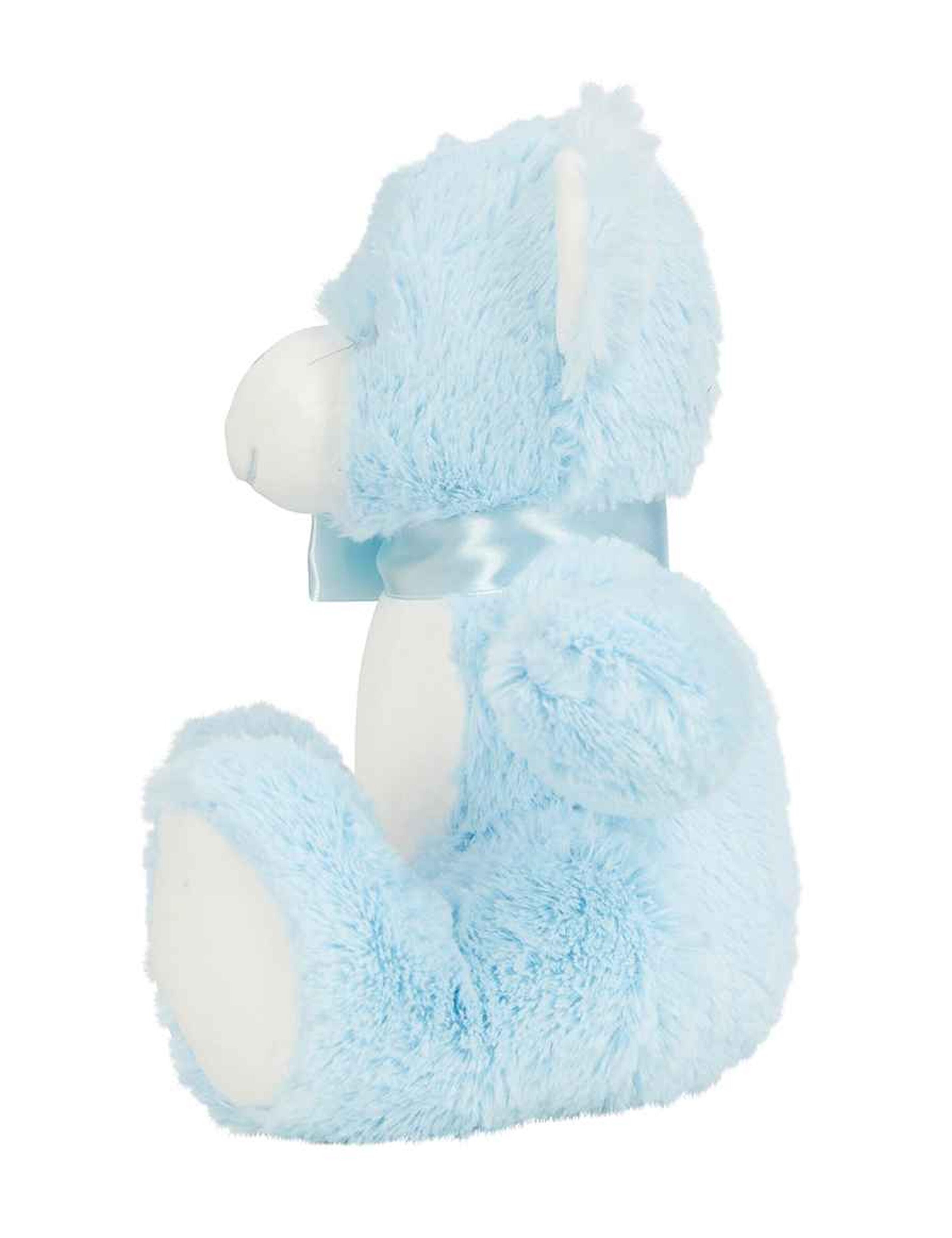 Printed Small Teddy Bear Light Blue with name