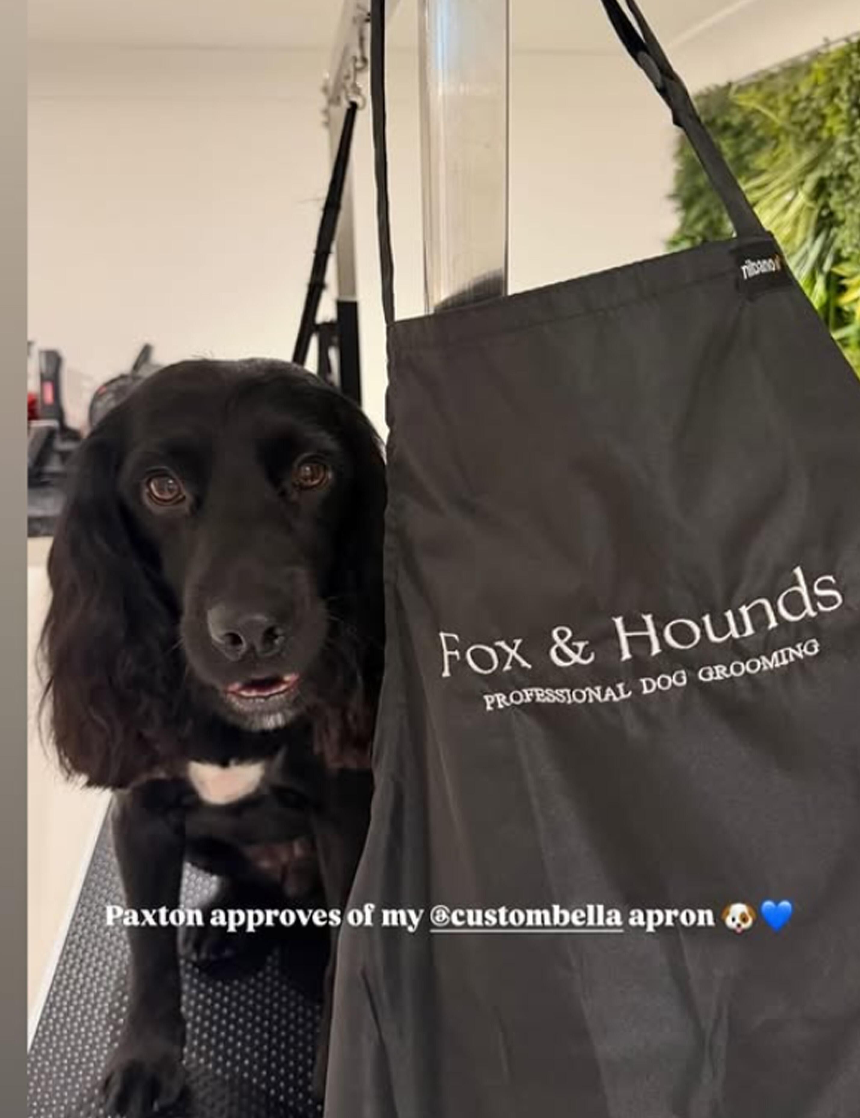 Custom Black waterproof grooming apron