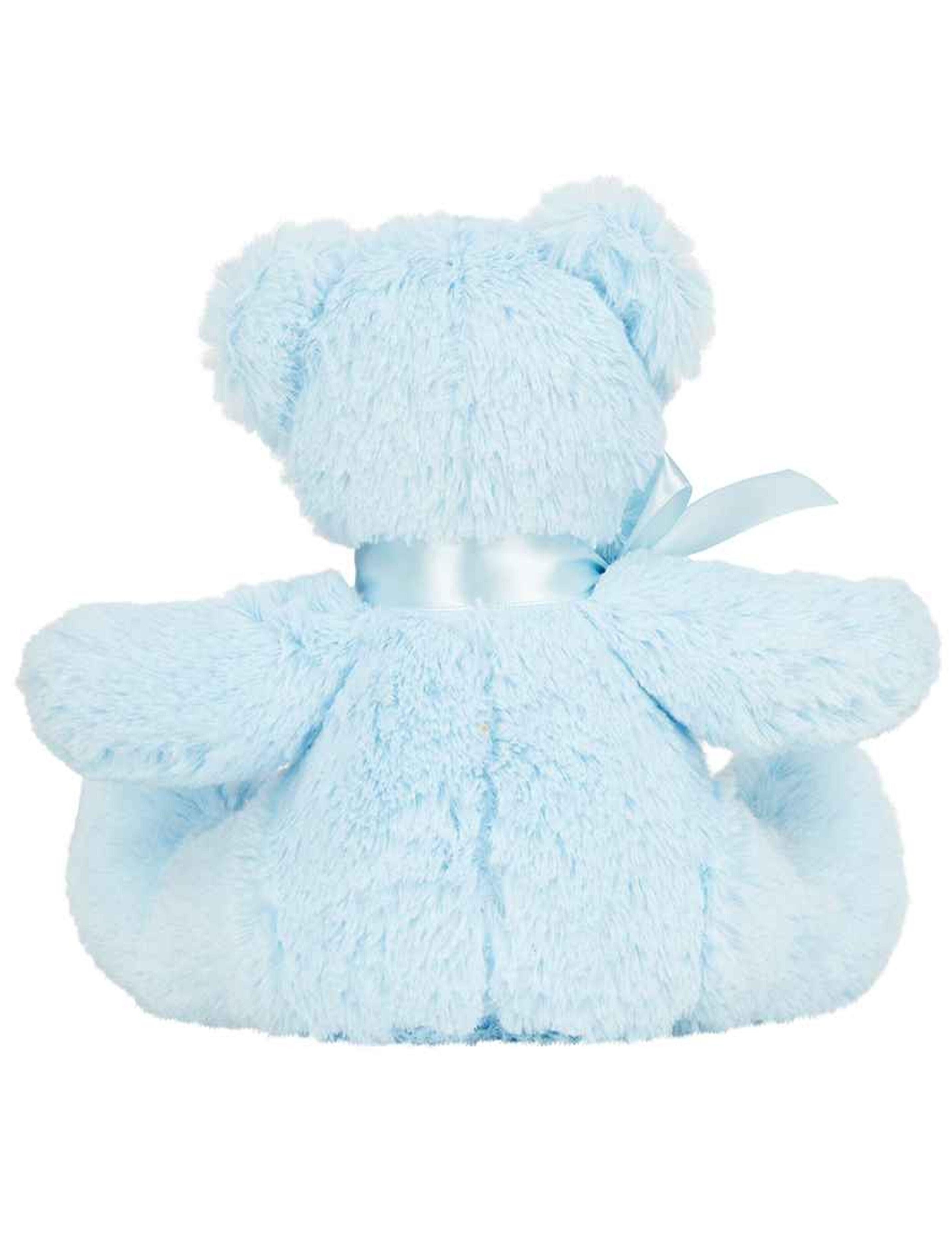 Printed Small Teddy Bear Light Blue with design