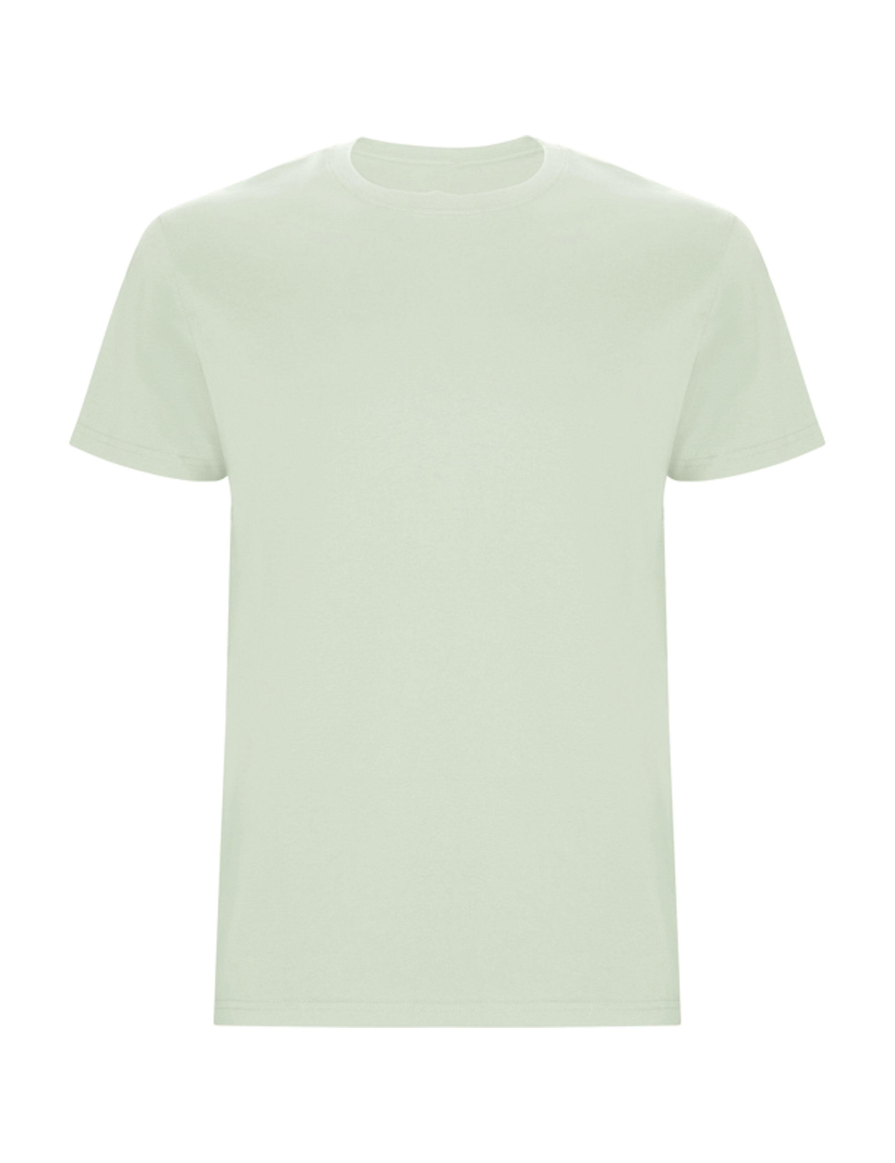 Men's Heavyweight Short Sleeve Pistachio T-shirt