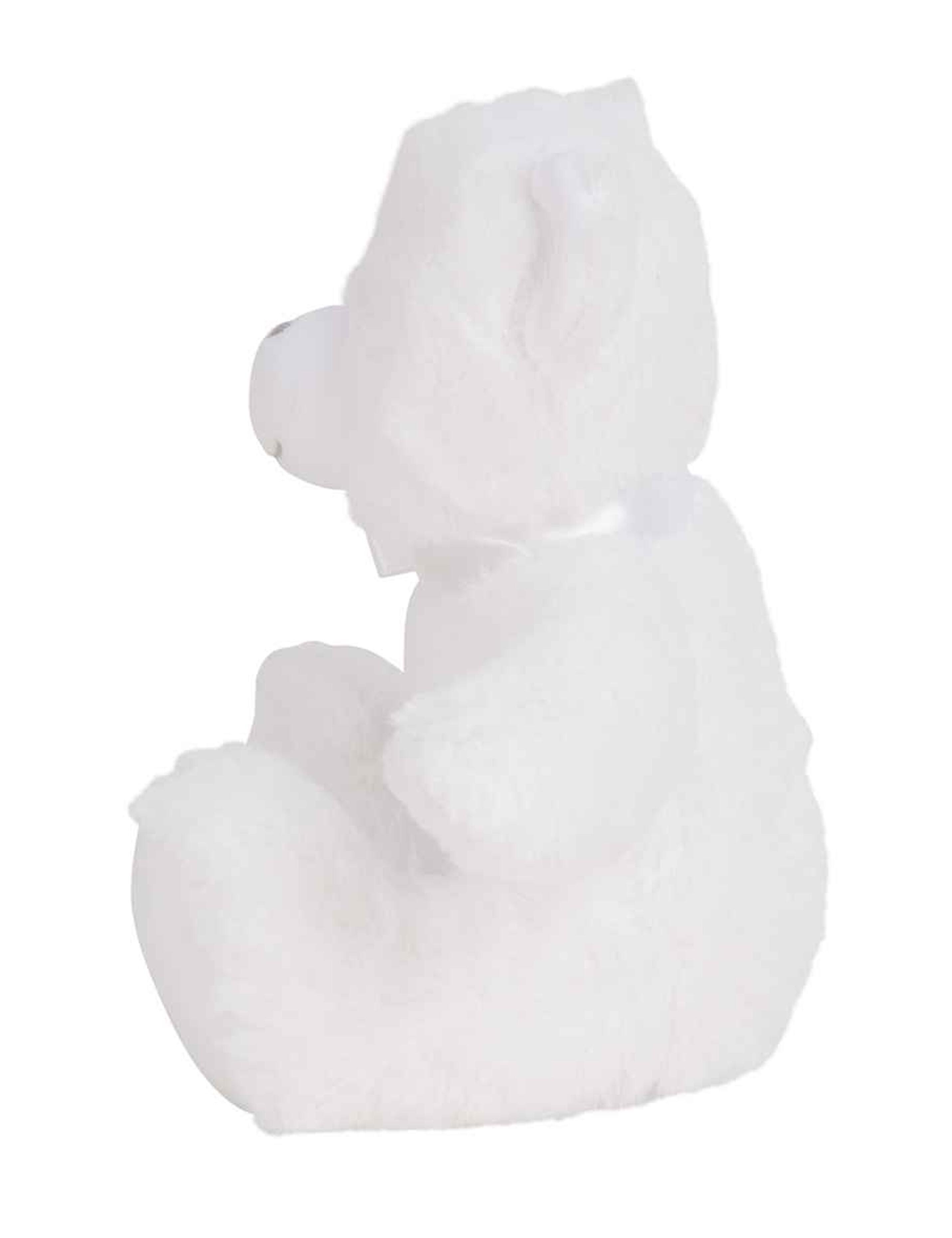 Printed Small Teddy Bear white with design