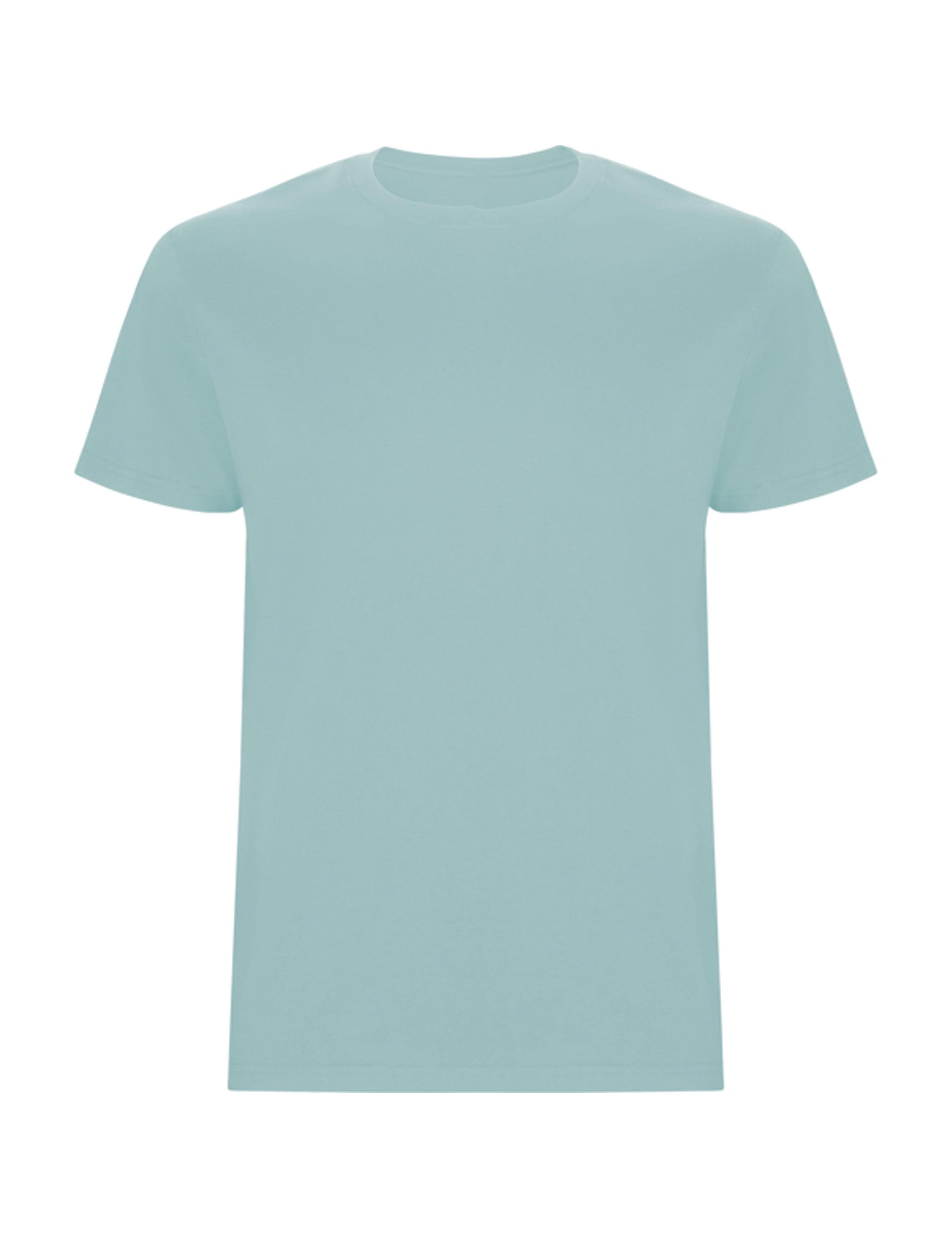 Men's Heavyweight Short Sleeve Washed Blue T-shirt
