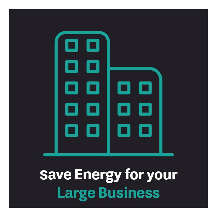 Large Commercial Voltage Optimisers